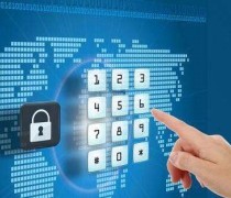 浙江交通运输热卖促销 网络技术服务引领行业数字化转型